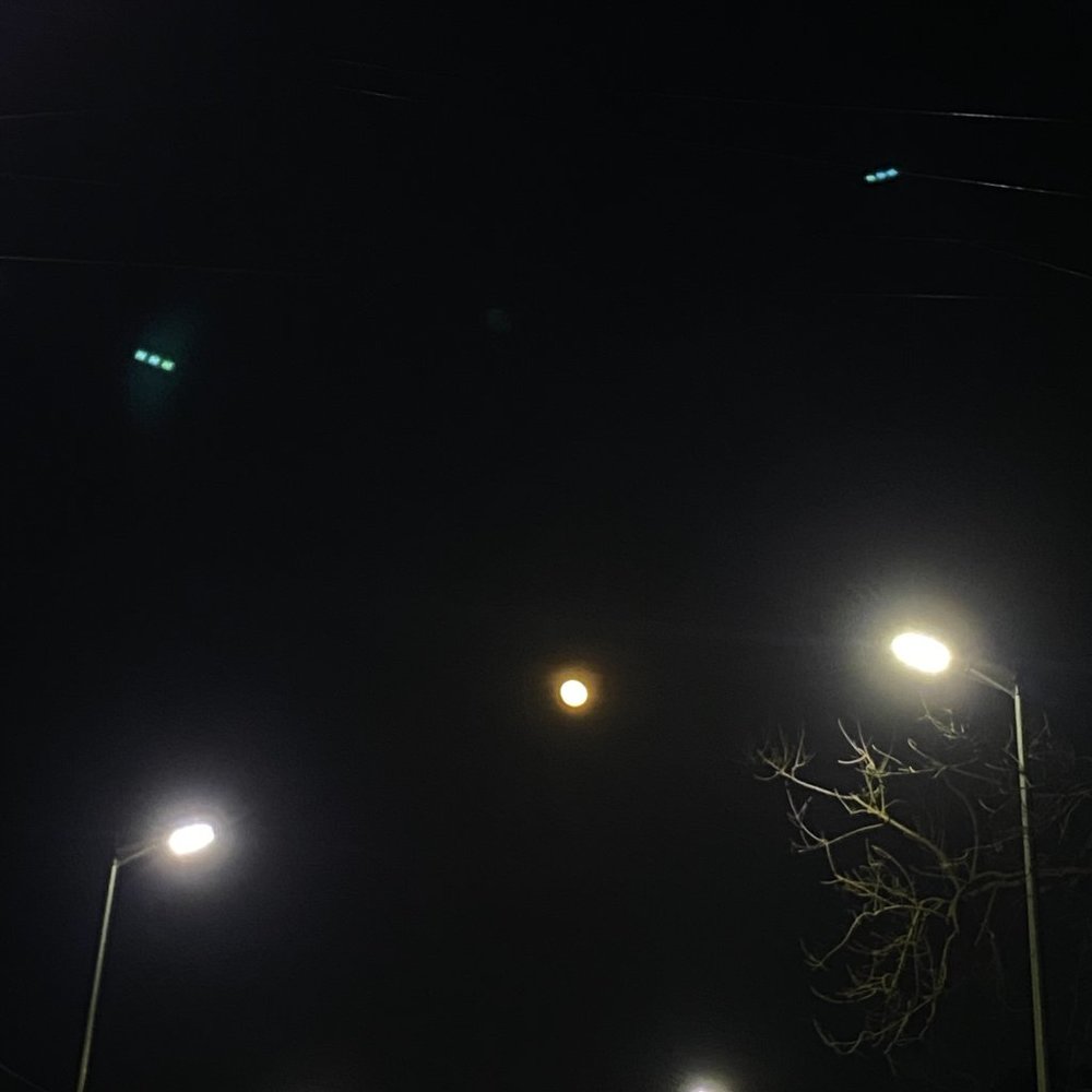 TEST - Picture 12 of 16